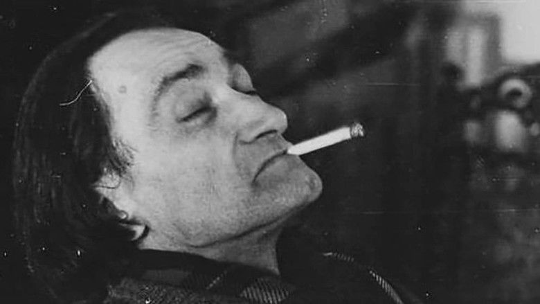 Gallery image from gMBArhPCc0m00Ju19omdVXUsCpg.jpg