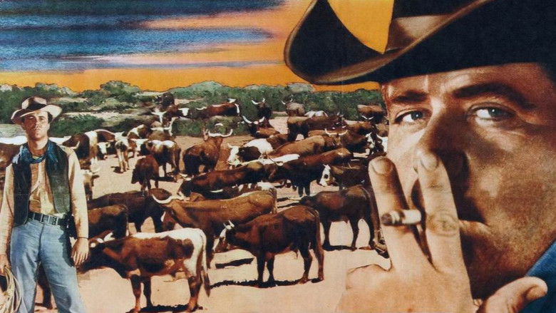 Image d'arrière-plan 8 du film Cow-boy