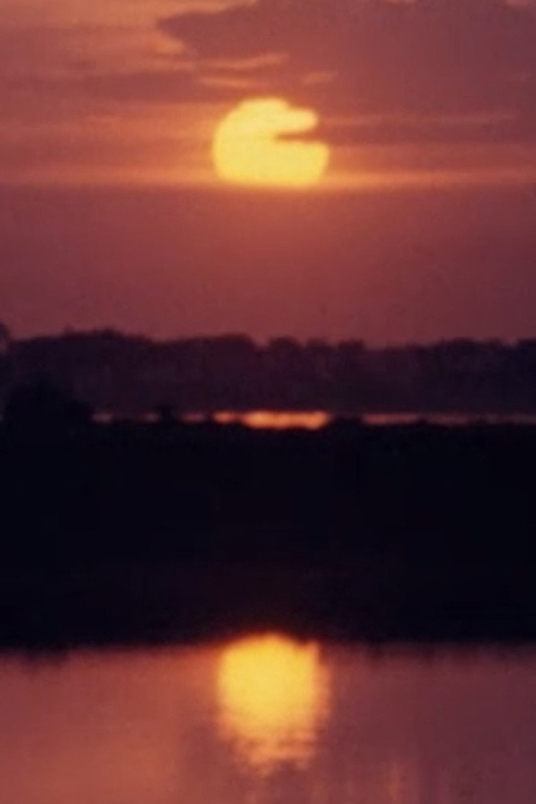 Cantique du soleil background