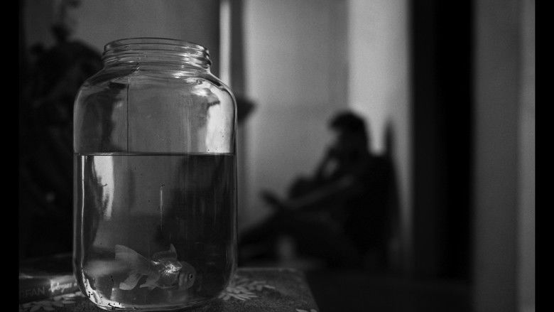 Gallery image from gNb5K50RL3y9muqYI9quWHto4rC.jpg