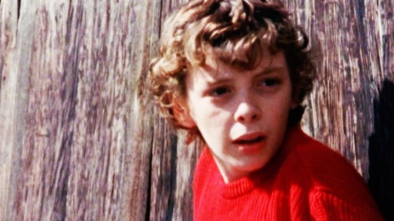Terry on the Fence movie poster