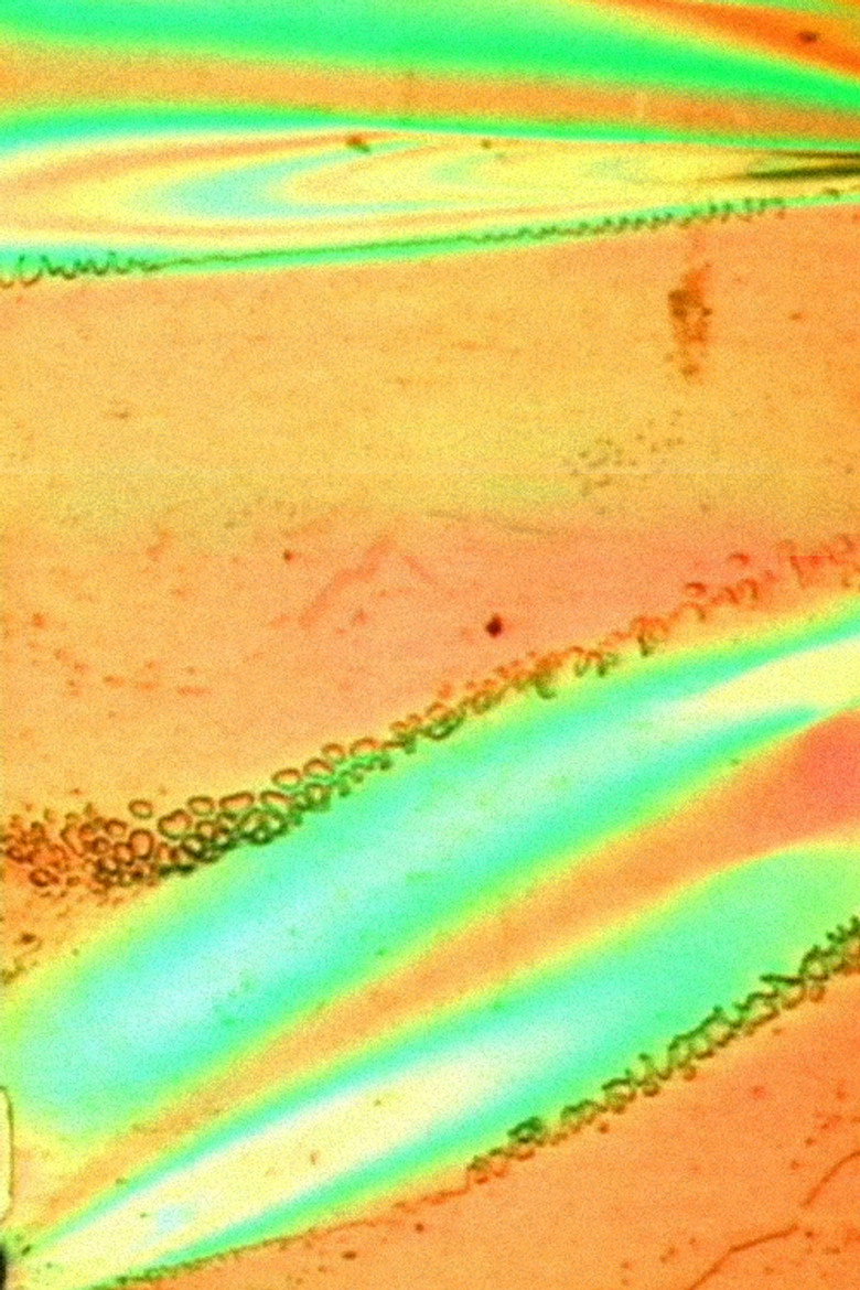 Imatge de Gossamer Conglomerate