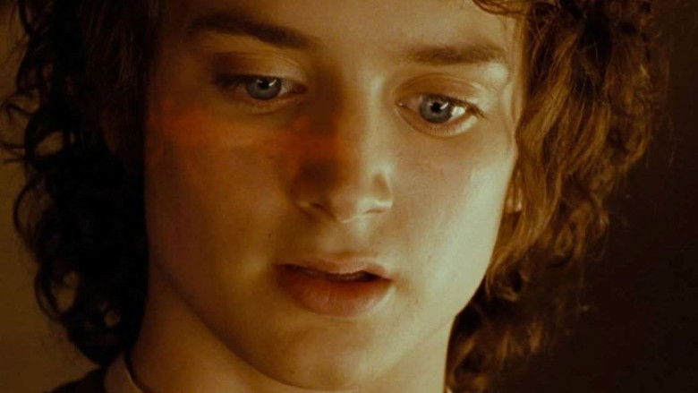 Backdrop de El Senyor dels Anells - Col·lecció