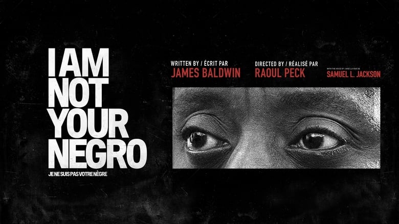 I Am Not Your Negro (2017)