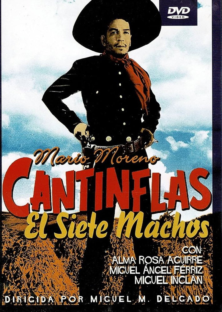 Póster la Película