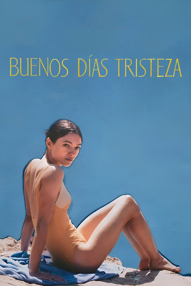 Póster la Película