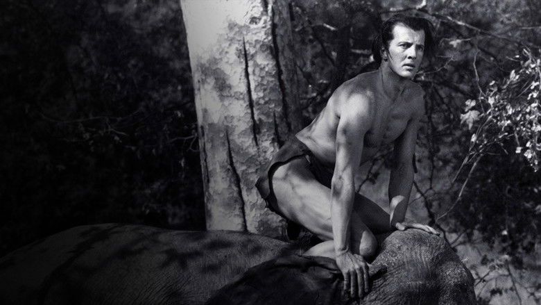 Image d'arrière-plan 2 du film Tarzan et la déesse verte