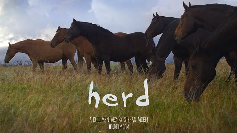 Herd movie poster