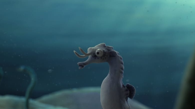 The Lost Seahorse (2021)