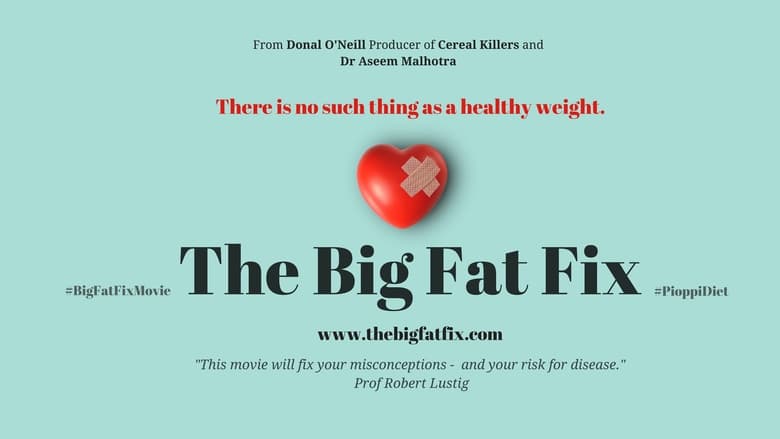 The Big Fat Fix movie poster