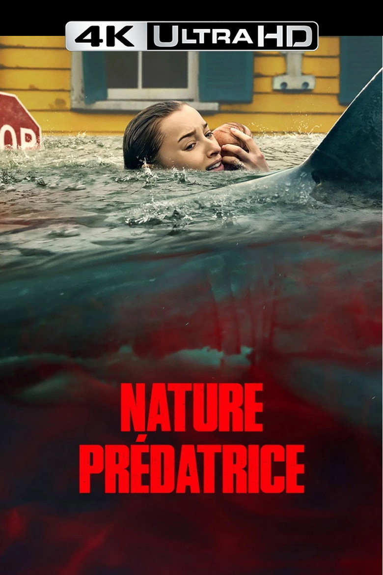 Póster la Película