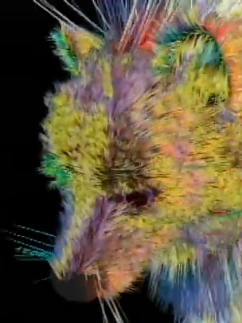 Imatge de Fire Beast