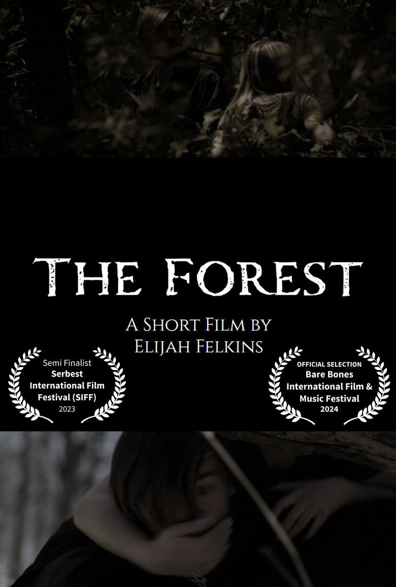 Imatge de The Forest