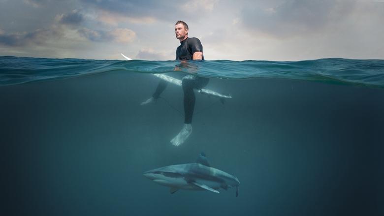 Shark Beach With Chris Hemsworth