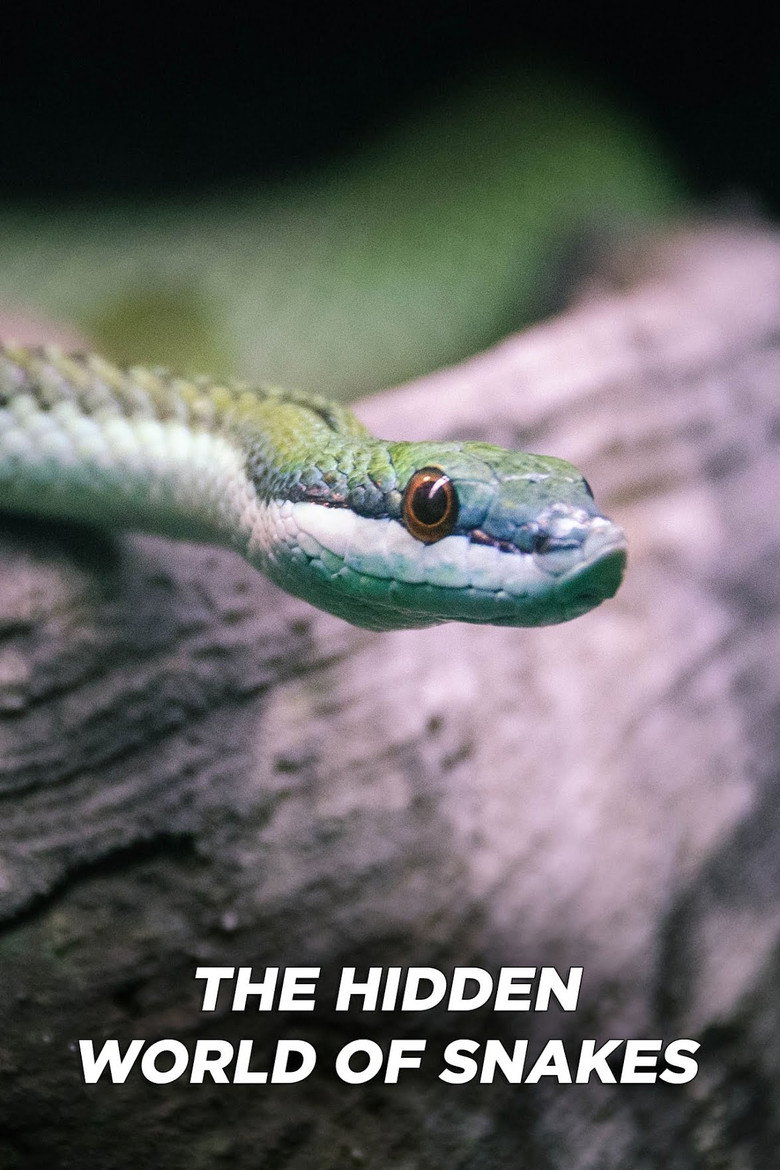 Official poster for The Hidden World of Snakes