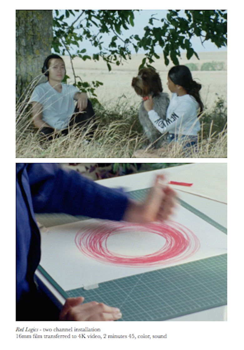 Imatge de Red Logics