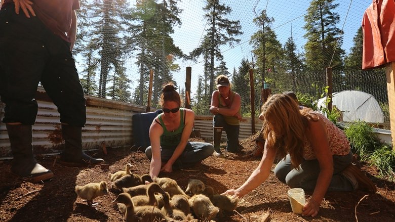 Still image for Port Protection Alaska season 1 episode 10: Looking for Blood Still image for Port Protection Alaska season 1 episode 10: Looking for Blood