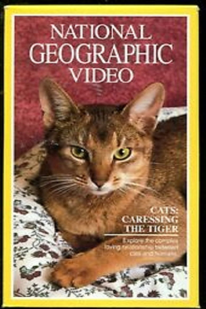 Imatge de Cats: Caressing The Tiger