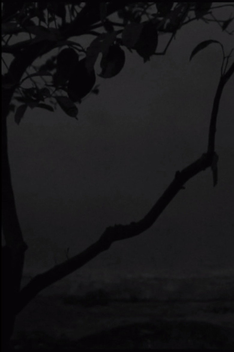 The Seagull background