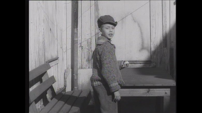 Petter klarar allt! backdrop