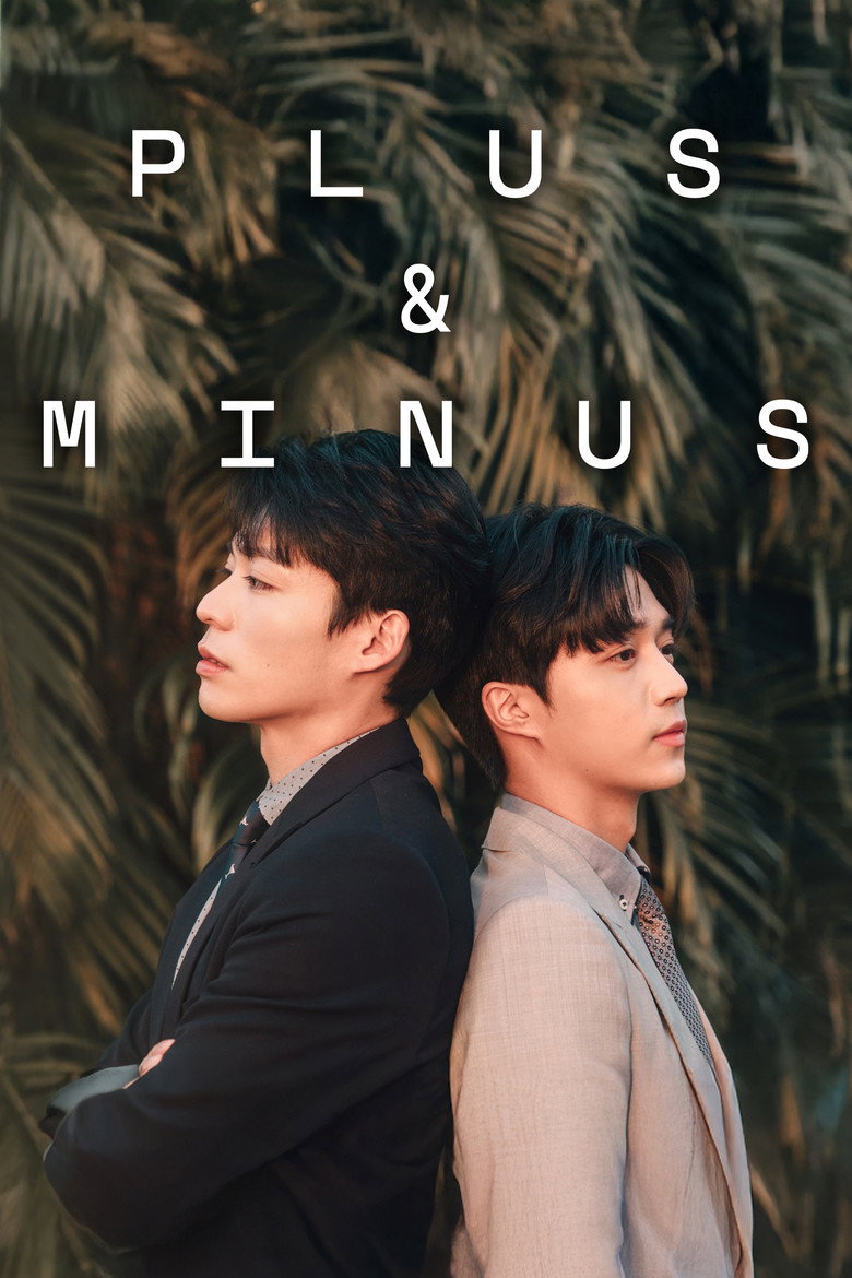 Plus & Minus poster