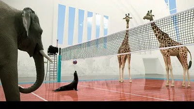 Still image for Athleticus season 1 episode 16: Episode 16