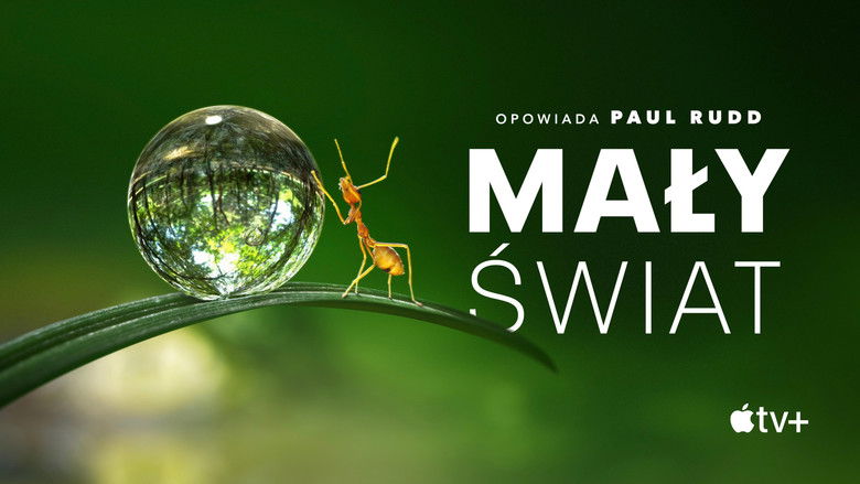 Gallery image from gVXtTN9i5TKhuRe7BGNhMy5xxuk.jpg