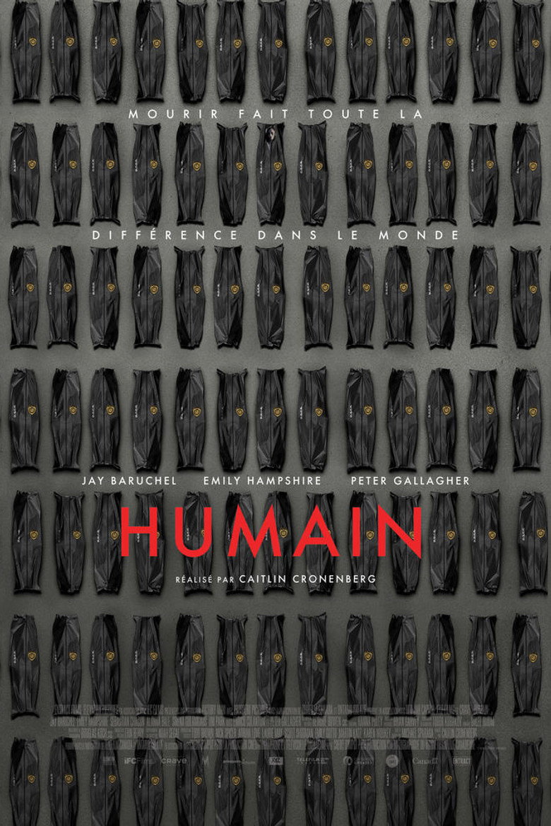 Póster la Película