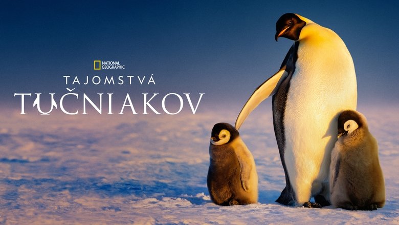 Gallery image from gYaTIKRyOVSQmtcvLkp6BBsO7OP.jpg