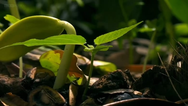 Deep, Down & Dirty: the Science of Soil movie poster