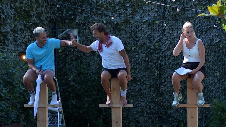 Still image for De Bondgenoten season 1 episode 207: Episode 207