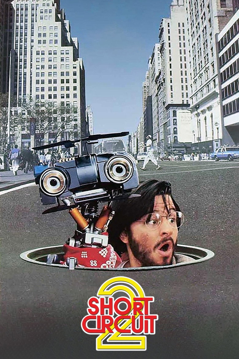 Póster la Película