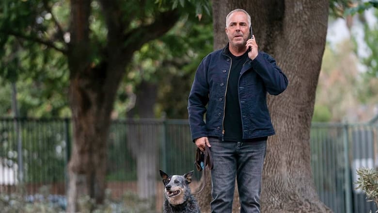 Bosch: Legacy S01E09 — Cat Got a Name? episode still