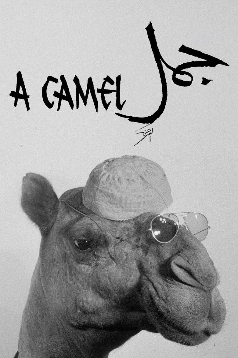 A Camel