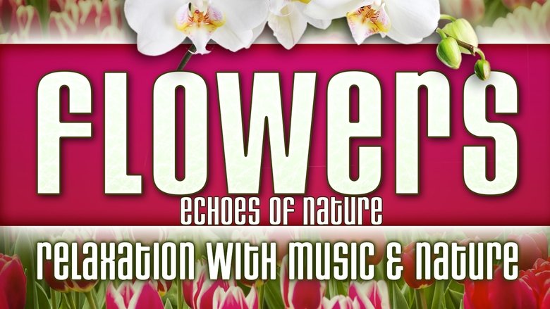 Flowers: Echoes of Nature Relaxation with Music & Nature movie poster