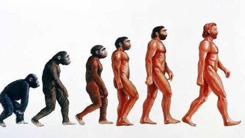 The Extraordinary Story of Man (Second Part) (Second Version)