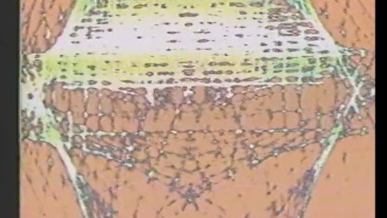 Gallery image from gbnX5B7oK1i232njEB3WGgF2M0R.jpg