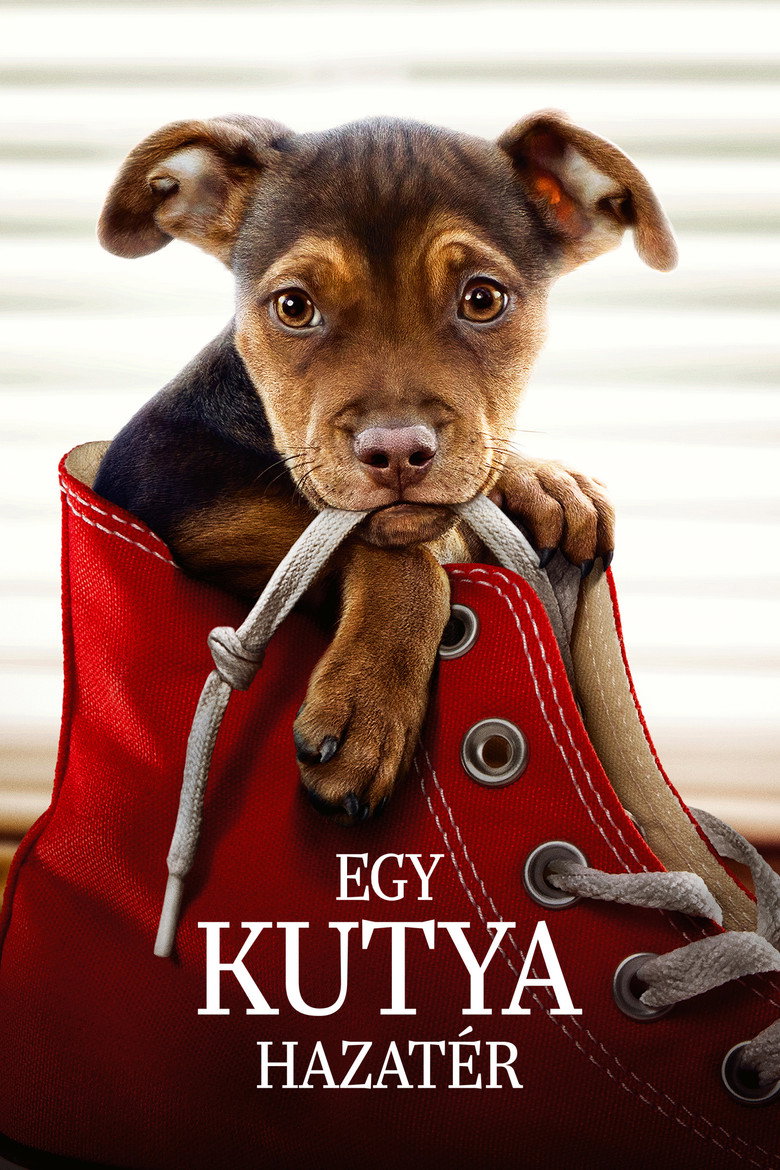 Egy kutya hazat&eacute;r (2019)