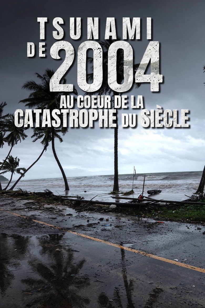 Tsunami de 2004 : au coeur de la catastrophe du siècle