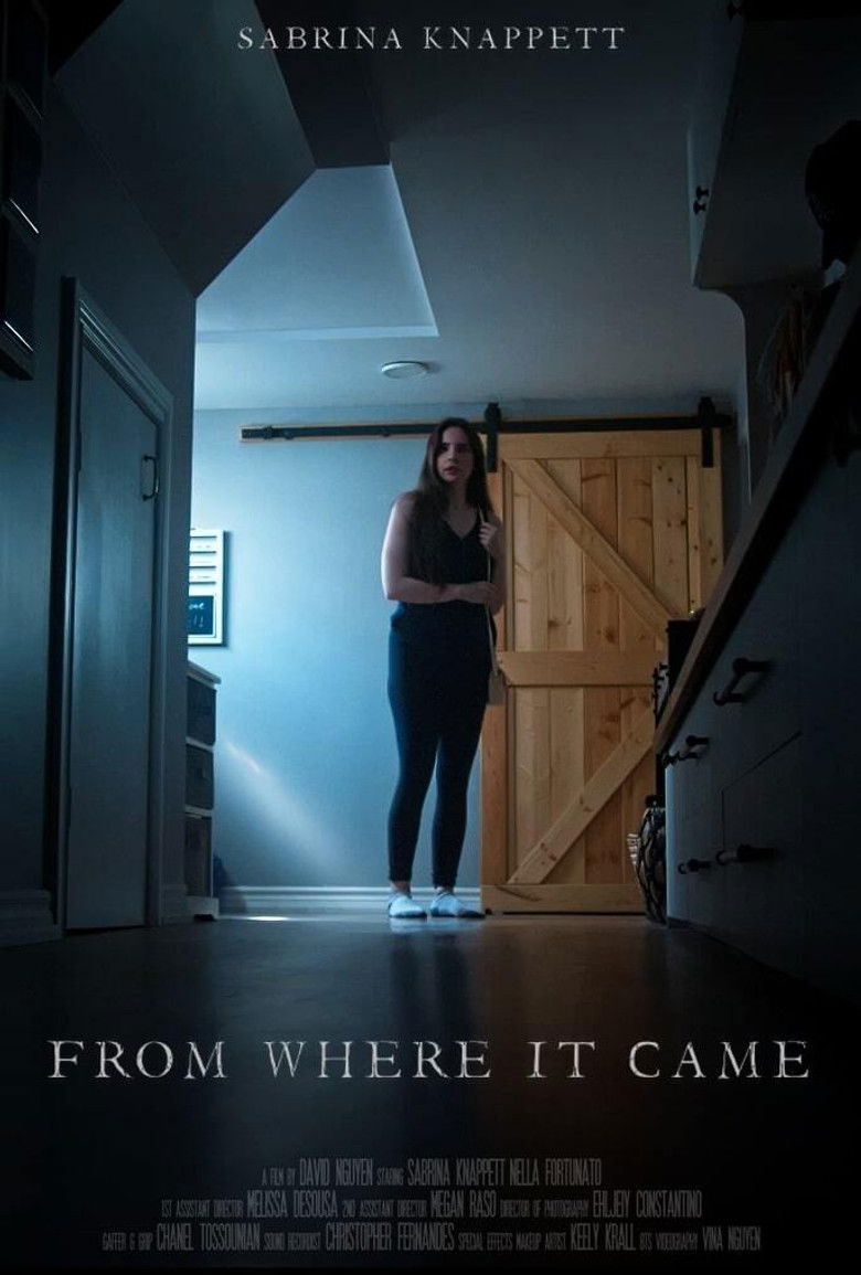 Imatge de From Where It Came