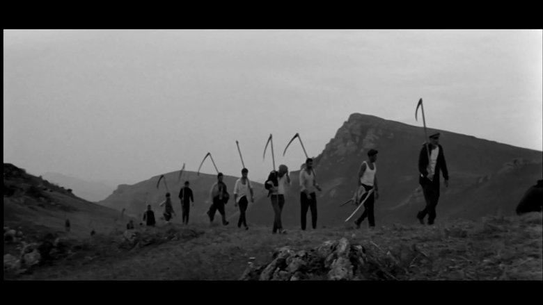 Madness (1969)