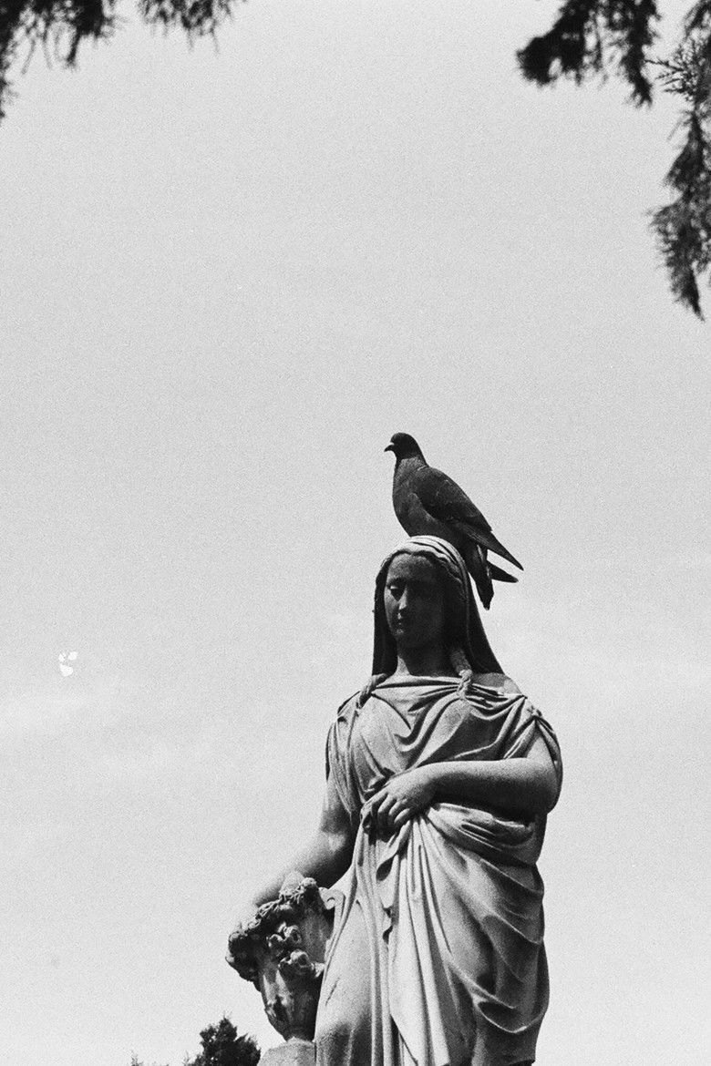 Imatge de Voces de Luz