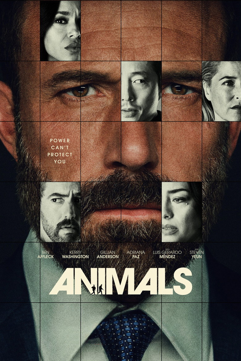 Póster la Película
