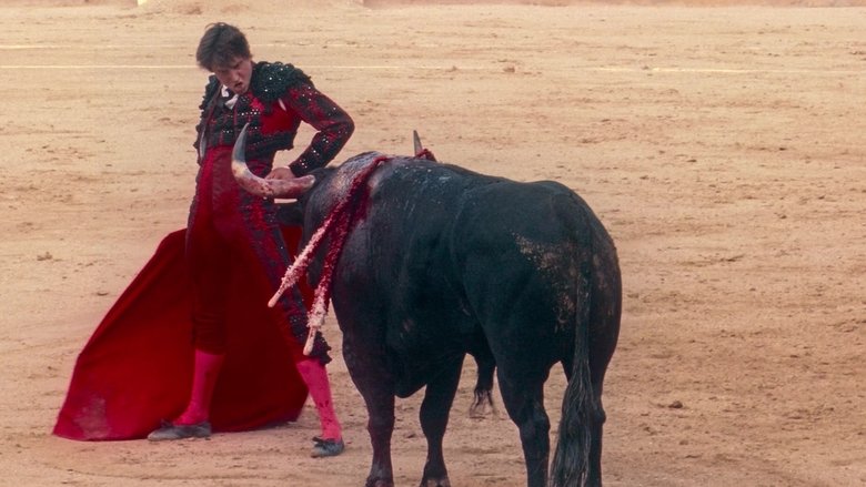 Afternoons of Solitude (2025)