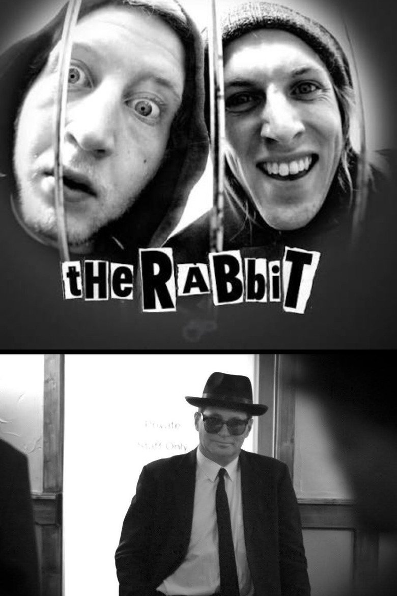 Affiche de THE RABBIT