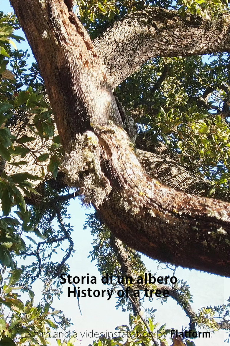 Imatge de Storia Di Un Albero