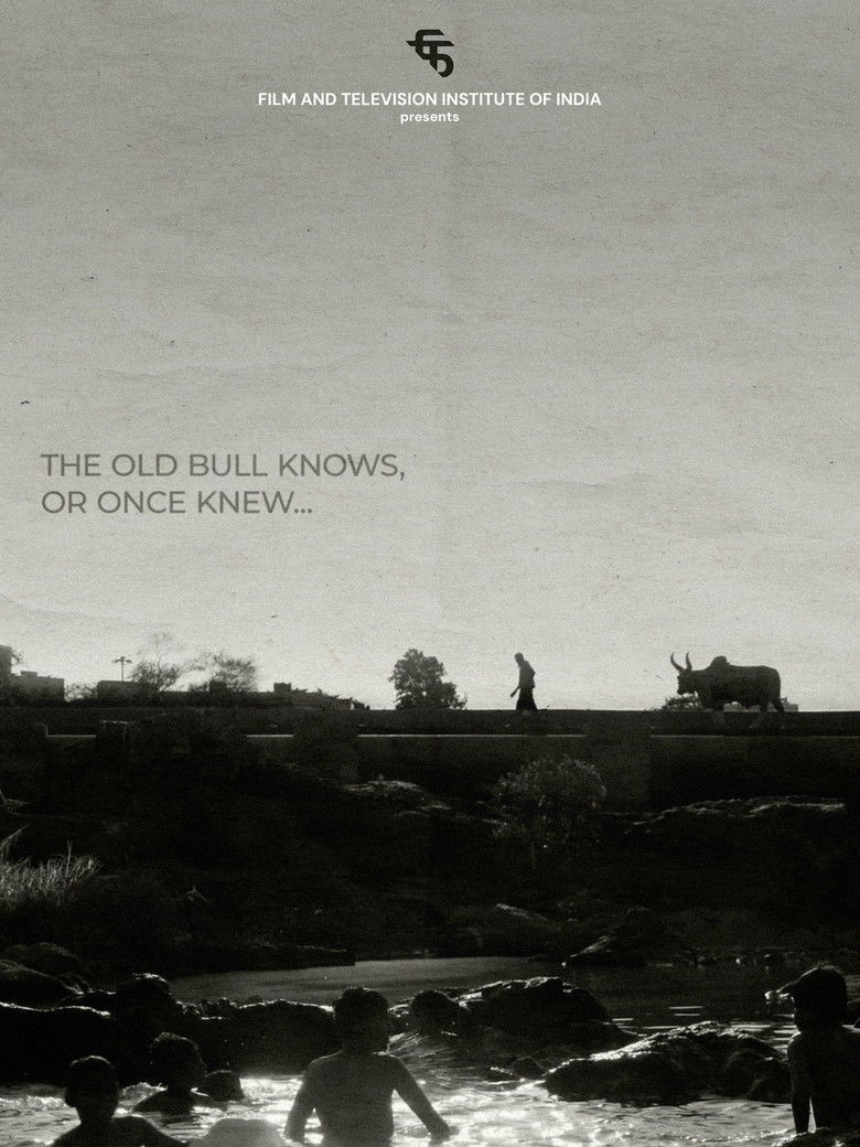 Imatge de The Old Bull knows, or Once Knew
