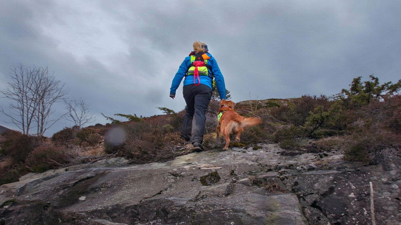 Still image for Redningshundene season 1 episode 4: Missing fisher