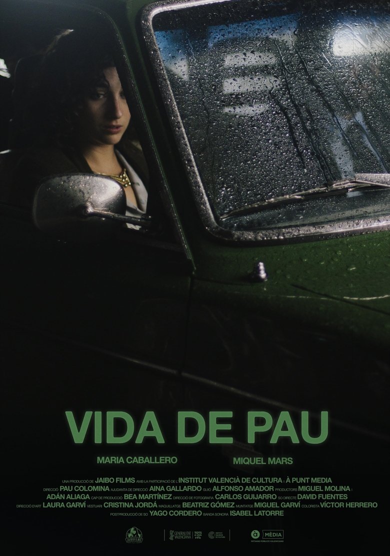 Vida de pau (1970)