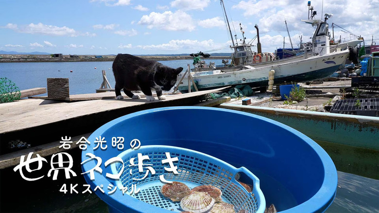 Still image for Mitsuaki Iwago's World “Cats” Travelogue season 1 episode 141: Aomori Still image for Mitsuaki Iwago's World “Cats” Travelogue season 1 episode 141: Aomori